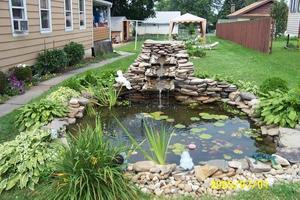 Fish Pond Ideas تصوير الشاشة 1
