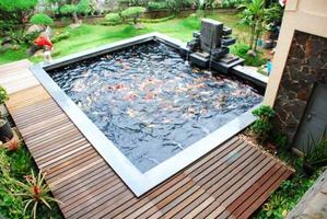 Fish Pond Ideas تصوير الشاشة 2