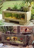 inspiration fish pond Screenshot 3