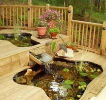 inspiration fish pond Plakat