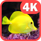 Fish Wallpapers HD - 4K icône
