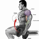 Exercício de treino ginásio APK