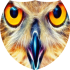 Sparkling owl icon