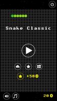 Snake Classic Affiche