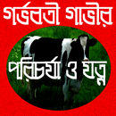 গর্ভবতী গভীর পরিচর্যা ও যত্ন APK