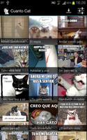 Cuanto Cat पोस्टर