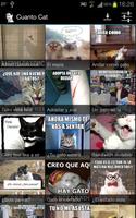 Cuanto Cat 海報