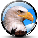 Wild Eagle Hunt – 3d Hunter & Wildlife Simulator APK