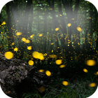 Fireflies लाइव वॉलपेपर आइकन