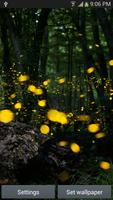 برنامه‌نما Fireflies Live Wallpaper عکس از صفحه