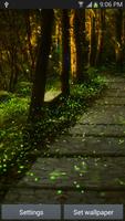 Fireflies लाइव वॉलपेपर स्क्रीनशॉट 3