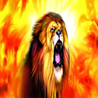 Fire Lion Fire Live Wallpaper アイコン