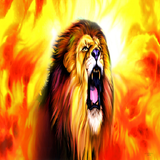 Fire Lion Fire Live Wallpaper icon