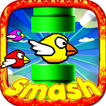 ”Fun Birds Game - Angry Smash