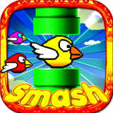 Fun Birds Game - Angry Smash आइकन