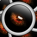 Stalker 1 LITE - Room Escape APK