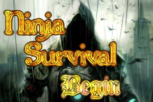 Ninja Survival Affiche