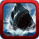 Shark Rage APK