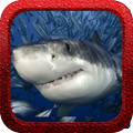 Shark Rush