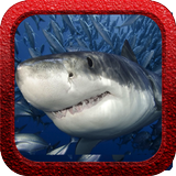 Shark Rush icône