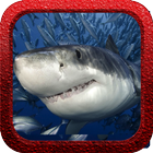 Shark Rush icon