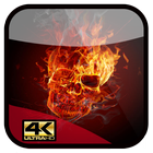 fire skull wallpaper 3d أيقونة