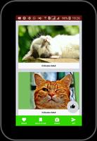 فيديوهات قطط مضحكة screenshot 3