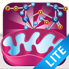 Biology Cellular Respiration-icoon