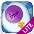 Biology Mitosis & Meiosis APK