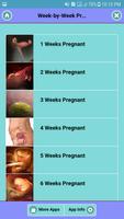 پوستر Week by Week Pregnancy