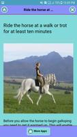 How to Keep Balance on Horse 스크린샷 1