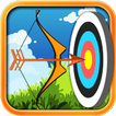Archery Arrow Shooting