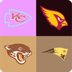 Guess The Nfl Team
