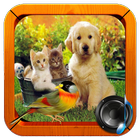 animal sounds আইকন