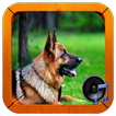 dog sounds