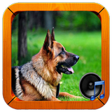dog sounds আইকন
