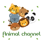 Animal channel ícone