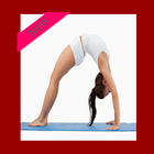 fitness exercice abdo free ikona
