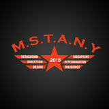 MSTANY Military Style Training-icoon