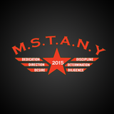 MSTANY Military Style Training icon