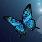 Blue Butterfly Spa and Salon icon