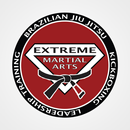 APK Extreme Martial Arts