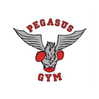 ikon Pegasus gym