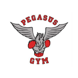 Icona Pegasus Gym