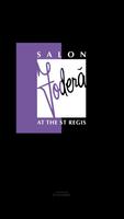 Salon Fodera 海报