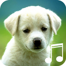 Puppy Sounds-Relax Sleep Calm APK