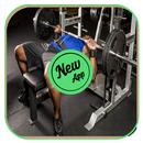 Chest Workout APK