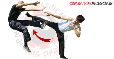 Jeet Kune Do Training & JKD Martial Arts Kung Fu screenshot 1