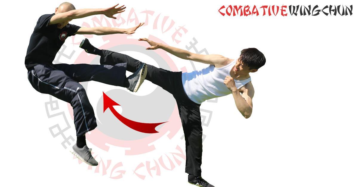 Jeet Kune Do Training & JKD Martial Arts Kung Fu cho Android - Tải về APK