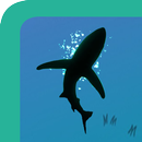 Cheat Hungry Shark Evolution APK